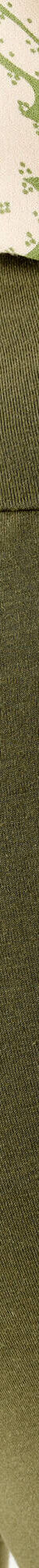 Legging taille haute, ventre plat (kaki) Legging taille haute, ventre plat (kaki)